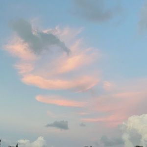 Meet your Posher, Paniz